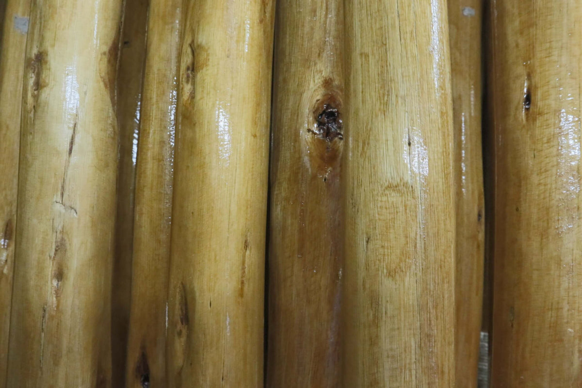 Eucalyptus zijpaal van gelakt hout voor stretchtent, met paaldop