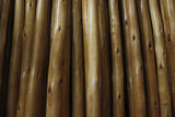 Houten middenpaal van eucalyptus, 5,00 meter, voor stretchtent