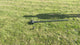 Haring trekker voor stretchtent haringen